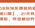 108将淘系爆款陪跑营【第11期】，21天教运营打爆款，帮老板培养运营-林文副业站
