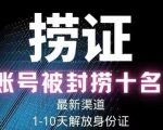 2023年最新抖音八大技术，一证多实名，秒注销，断抖破投流，永久捞证，钱包注销，跳人脸识别，蓝V多实-林文副业站