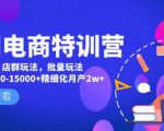 美团电商特训营:美团·店群玩法,无脑铺货月产出6000-15000+精细化月产2w+-林文副业站