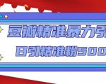 豆瓣精准暴力引流,日引精准粉500+【12课时】-林文副业站