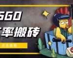 外面9800的CSGO汇率搬砖项目,一个月轻松赚几千【选品软件+详细教程】-林文副业站