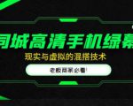 同城高清手机绿幕，直播间现实与虚拟的混搭技术，老板商家必看！-林文副业站