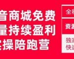 抖音商城搜索持续盈利陪跑成长营，抖音商城搜索从0-1、从1到10的全面解决方案-林文副业站