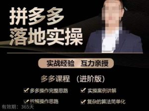 拼多多实战篇·落地实操：多多操作完整思路+实操案例讲解+拆解操作思路+复杂的算法简单化-林文副业站