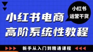小红书电商高阶系统教程,新手从入门到精通系统课-林文副业站