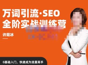 许茹冰·万词引流-SEO全阶实战训练营,0基础入门,快速成为流量高手-林文副业站