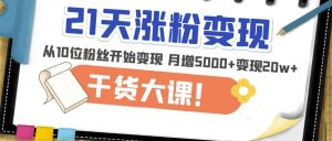 21天精准涨粉变现干货大课:从10位粉丝开始变现月增5000+变现20w+-林文副业站