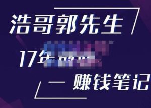 浩哥郭先生17年创业赚米笔记，打开你对很多东西的认知，让你知道原来赚钱或创业不单单是发力就行-林文副业站