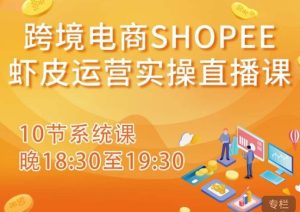 跨境电商Shopee虾皮运营实操直播课，从零开始学，入门到精通（10节系统课）-林文副业站