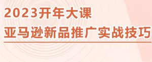 2023亚马逊新品推广实战技巧，线下百万美金课程的精简版，简单粗暴可复制，实操性强的推广手段-林文副业站