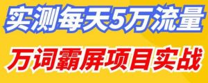 百度万词霸屏实操项目引流课，30天霸屏10万关键词-林文副业站
