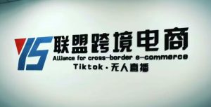 YS联盟·Tiktok无人直播，不出镜不剪辑不拍摄不发货无售后的跨境短视频躺赚玩法-林文副业站