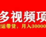 多多带货视频快速50爆款拿带货资格，搬运带货，月入30000【全套脚本+详细玩法】-林文副业站