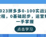 2023拼多多0-100实战运营教程，0基础起步，运营知识一手掌握-林文副业站