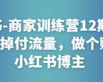 小红书-商家训练营12期：让商家丢掉付流量，做个赚钱的小红书博主-林文副业站
