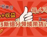 2023新细分领域带货计划:单号单日1000+收益不难,每人可操作3-5个账号-林文副业站