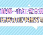 一写就爆-小红书文案课:带你玩转小红收爆文写作(45节课)-林文副业站