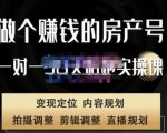 刘广标·同城房产号线上陪跑课,拍摄、剪辑、写文案、直播,做一个具有潜力价值的房产号-林文副业站