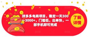 2023拼多多电商项目，稳定一天300～3000+，门槛低，出单快，一部手机即可完成-林文副业站