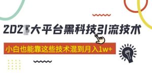 大平台黑科技引流技术，小白也能靠这些技术混到月入1w+(2022年的课程）-林文副业站
