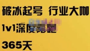 珍妮·短视频直播（定制）线上陪跑，平台逻辑及赛道选择、短视频数据分析技巧、直播三大核心等-林文副业站