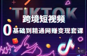跨境短视频TIKTOK 0基础到精通网赚变现套课,跨境短视频独立站带货变现技巧-林文副业站
