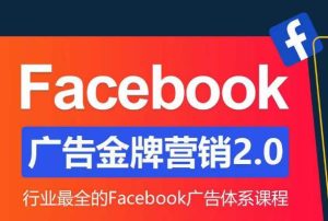 Facebook广告营销体系化教程，Facebook广告金牌营销2.0，行业最全的Facebook广告体系课程-林文副业站
