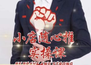 随心推线上课，小店随心推的投放逻辑，投放技巧，快速打标签-林文副业站