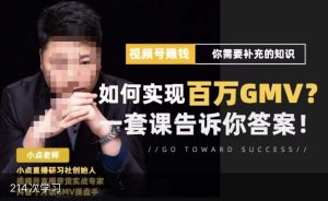 视频号变现进阶课，视频号六大变现模式，对平台的各项功能详细讲解，让你快速选择赛道-林文副业站