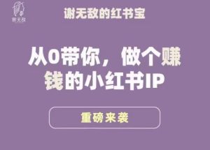 谢无敌·小红书运营大宝典,从0带你做个赚钱的小红书IP-林文副业站