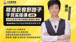 杨光·精准获客野路子，黑科技快速获取精准客户，这也许是全网最低的获客方法了-林文副业站