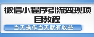 微信小程序引流变现项目教程,当天操作当天就有收益,变现不再是难事-林文副业站