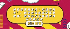 拼多多实战宝典“初级到高手”,新手小白必看拼多多课程,带你全方位解读拼多多各种玩法-林文副业站