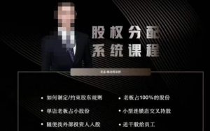 韩老师聊美业-美业股权分配系统课程，如何制定约束股东规则+老板占100%的股份+单店老板占小股份等-林文副业站