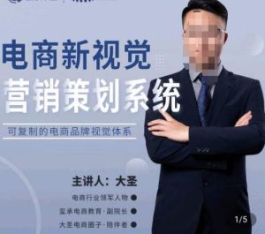 大圣·电商新视觉营销策划系统，可复制的电商品牌视觉识别系统-林文副业站