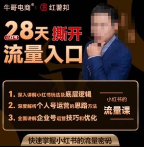 牛哥电商红薯邦28天撕开小红书流量入口,小红书运营系列课,快速掌握小红书的流量密码-林文副业站