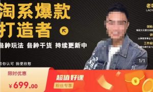 锋投老叶全店动销,淘系干货汇总,各种玩法,淘系爆款打造者-林文副业站