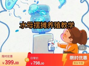 水母摆摊教学，包括摆摊技术、养殖技术、拿货渠道、抖音运营等-林文副业站