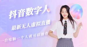 抖音数字人虚拟无人直播间打造（外面收费6000）-林文副业站