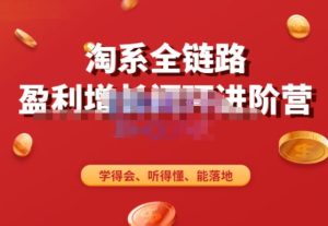淘系全链路盈利增长闭环进阶营,融合全店动销,学得会、听得懂、能落地!-林文副业站