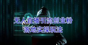 外面收费3980的无人直播引流创业粉落地实操玩法，单日引100+精准创业粉-林文副业站