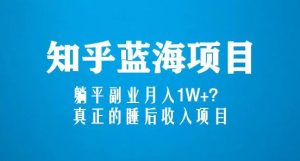 知乎蓝海玩法,躺平副业月入1W+,真正的睡后收入项目(6节视频课)-林文副业站