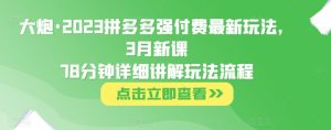 大炮·2023拼多多强付费最新玩法，3月新课​78分钟详细讲解玩法流程-林文副业站