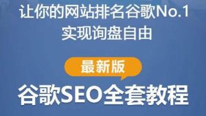 谷歌SEO实战教程:如何让你的网站在谷歌排名第一,内容从入门到高阶,适合个人及团队-林文副业站