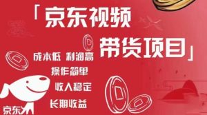 京东视频带货项目+图文带货种草，成本低，利润高，操作简单收入稳定-林文副业站