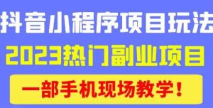抖音小程序9.0新技巧,2023热门副业项目,动动手指轻松变现-林文副业站