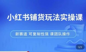 小红书铺货玩法实操课,流量大,竞争小,非常好做,新赛道,可复制性强,可团队操作-林文副业站