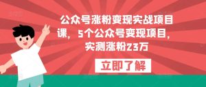 公众号涨粉变现实战项目课，5个公众号变现项目，实测涨粉23万-林文副业站