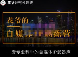 花爷的自媒体IP训练营【14期】,一套专业科学的自媒体IP武器库(更新2023年3月)-林文副业站