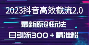 日引300＋创业粉，独家抖音高效截流2.0玩法（价值1280）-林文副业站